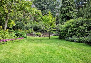 Optimiser l'expérience du jardin à Bacouel-sur-Selle